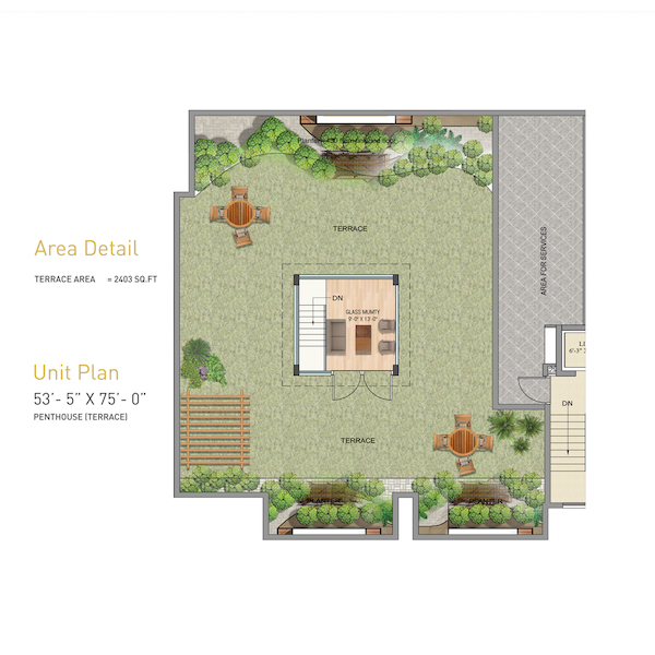 Penthouse Terrace Plan (53'-3 x 75')
